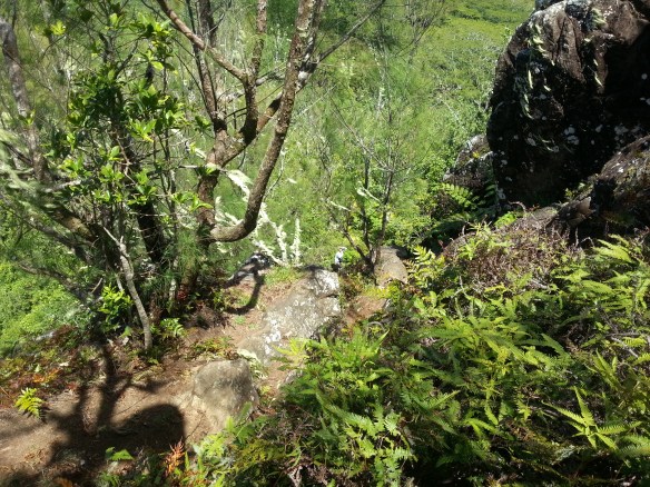 20121018_115237_Rarotonga