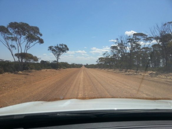 20130101_102820.jpg image