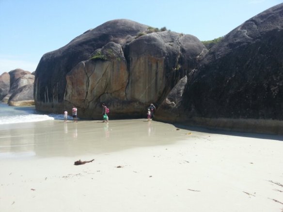 20130115_135543.jpg image