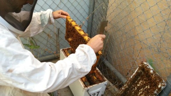 20130125_172004_51690.jpg image