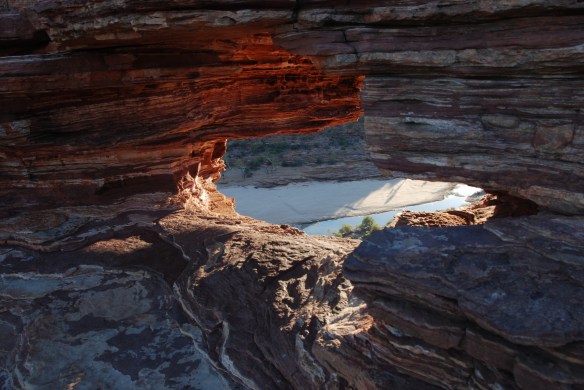 DSC_8129_Naturs_Window_Blog