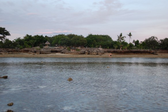 DSC_0425_Sea_Turtle_House_Beach