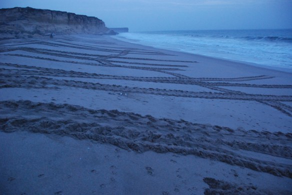 DSC_6413_Ras_Al_Jinz_Turtle_Tracks