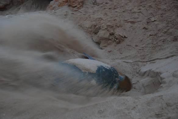 DSC_6440_Ras_Al_Jinz_Turtle_Nesting